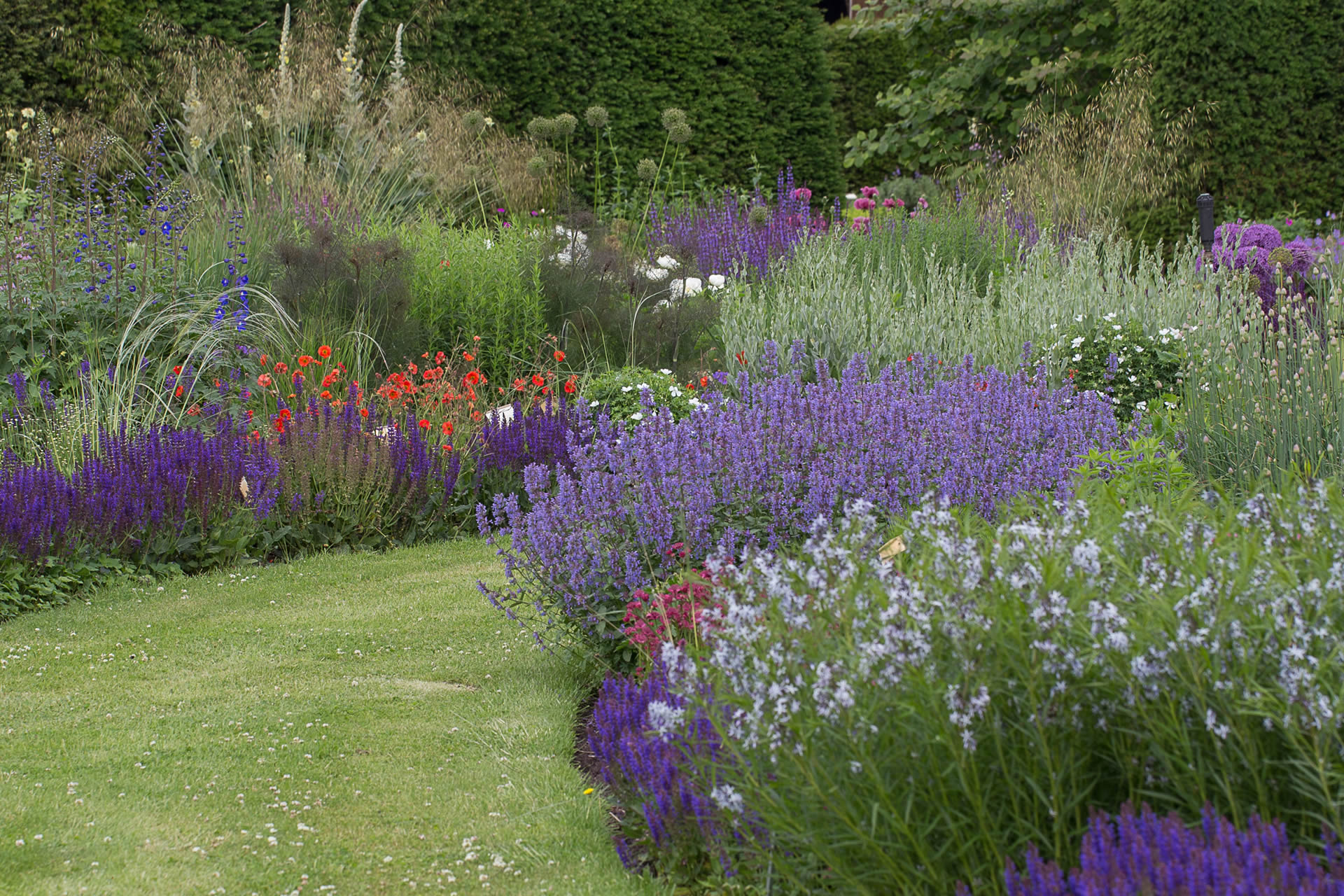 Staudengärtnerei Ihm - Zehren Meißen